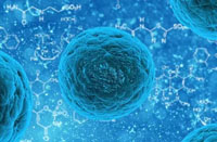 亚洲城yzc88·(中国)集团